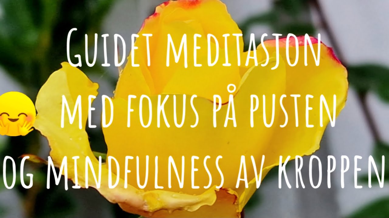 Fokus på pust og konsentrasjon.Hvordan øke konsentrasjon og tilstedeværelse Guidet meditasjon 🙏