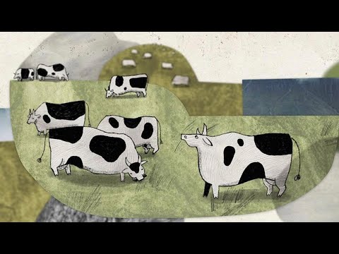 O krávě – About a Cow | Trailer
