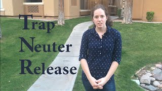 TNR - A How To