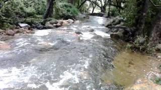 Thirukkurungudi 23032013