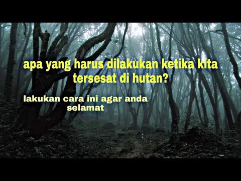 Video: Apa Yang Perlu Dilakukan Sekiranya Tersesat Di Hutan