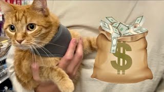 Anything He Touches, I Buy