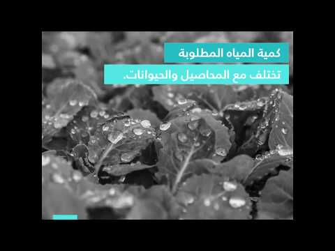 هدر الغذاء يعني أيضا هدرا للموارد
