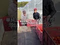 売上が減少しました #農業 #現代農業