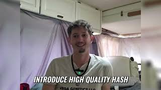 Rootstock S1E2: West Coast Cannabis and the Brotherhood of Eternal Love