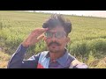 Bholabhai Khetiwadi LIVE 🚜🔥 | ખેતરમાં આજ શું થયું? | Gujarati Farmer Vlog 2026