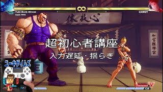 ストV超初心者講座！入力遅延・揺らぎ【SFVAE】ver.03.091