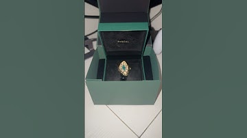 Paradoxe Diamond Watch  #pascal#classic #rolex #watches#watchcollector