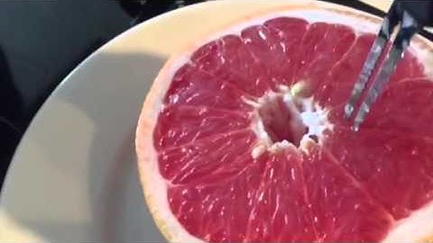 Grapefruit knife demo