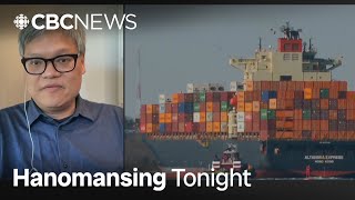 China has been preparing for U.S. tariffs 'for years,' says expert  | Hanomansing Tonight