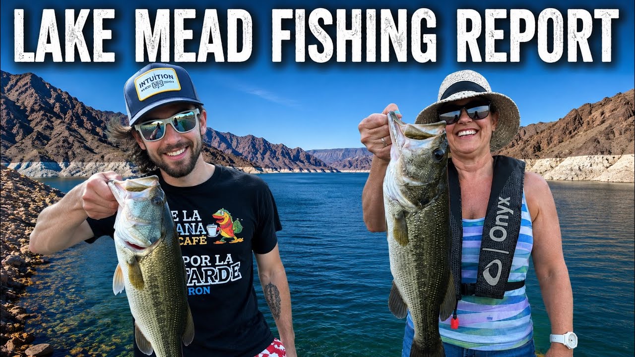 Lake Mead Fishing Report • SNEAK PEAK of Lake Mead Insider!