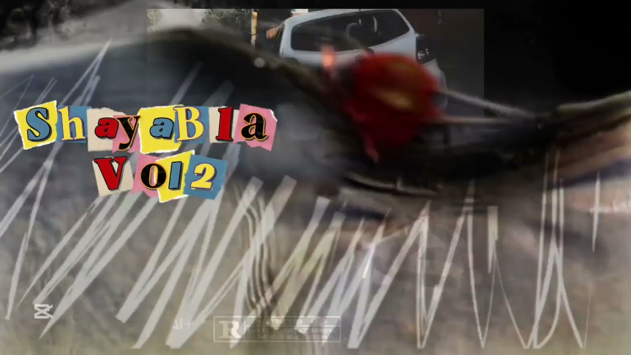 ShayaBla Vol2 (Bacardi mix)