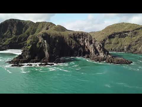 Туры в Новую Зеландию - Фантастический пляж на побережье Тасманово моря в городе Окленд