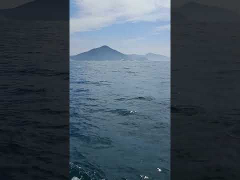Miniatura do vídeo: PESCARIA BARRA DE GUARATIBA RJ
