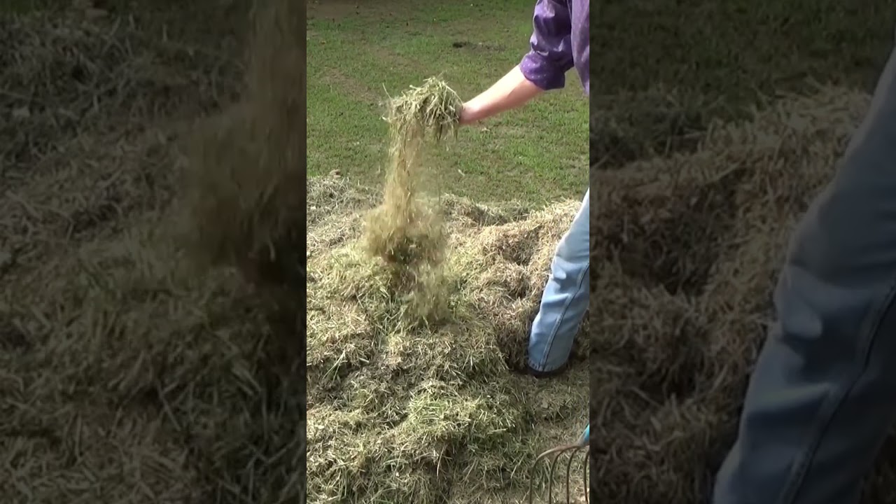 Secret Method To Starting A Weed Free, No Till Garden Bed 