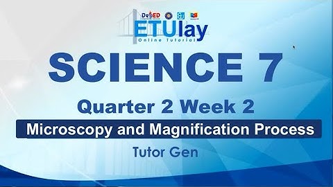 Microscopy and Magnification Process || Grade 7 Science || Quarter 2 Week 2