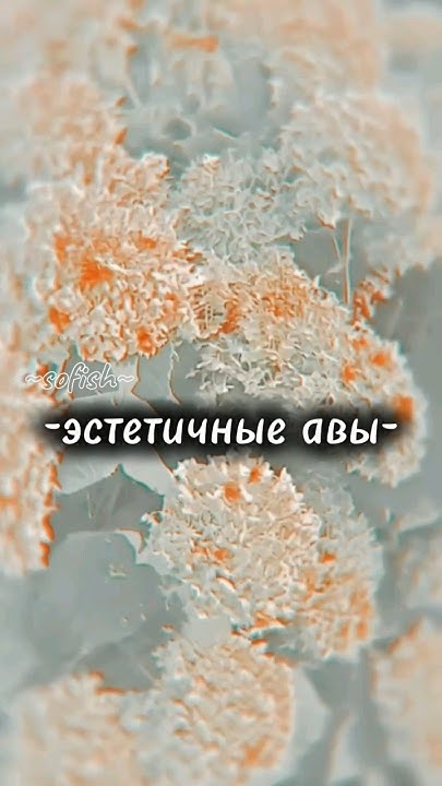 эстетичные авы#aesthetic - YouTube