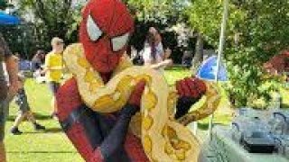 Fun Kids Game Adventure 🎉 | Learn &amp; Play with Colors, Numbers &amp; Shapes!.