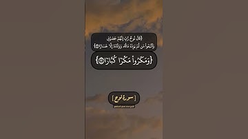 سورة نوح الآية ٢١ الى ٢٤ بصوت الشيخ محمد صديق المنشاوي