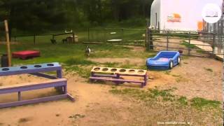 SDP Auntie Graaaace - you forgot the poop bucket