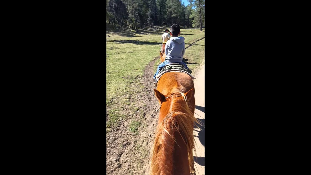 Horse back riding at ruidoso nm YouTube