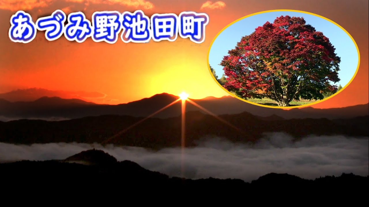 雲海も出る『七色大カエデ』 絶景・紅葉おススメポイント ～3D立体映像