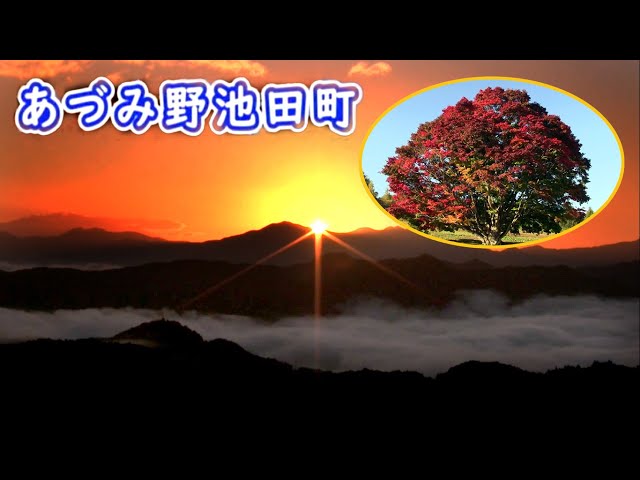 雲海も出る『七色大カエデ』 絶景・紅葉おススメポイント ～3D立体映像