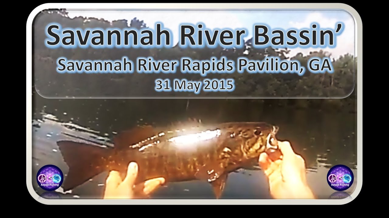 BIG Bass on the Savannah River, Bartram Bass, Kayaking Fishing, 31 May 2015 - YouTube