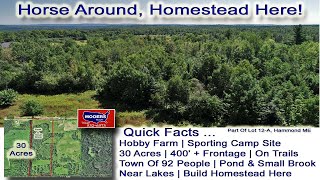 Land For Sale In Maine | Homestead On 30 Acres ME Land | MOOERS REALTY #maineland