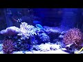 上部フィルターで海水魚水槽やってます(^^)
