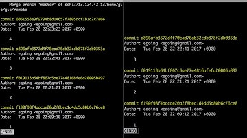 지옥에서 온 Git - push & pull (My Server)