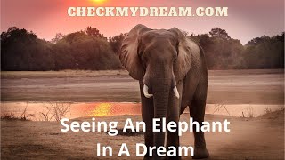 Exploring the Symbolic Meaning of Elephants in Dreams