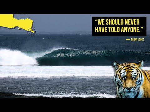 The World S GREATEST Surf Discovery 