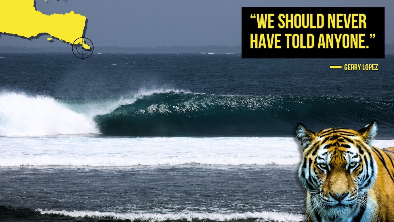 The World's GREATEST Surf Discovery...