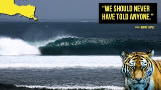 The World's GREATEST Surf Discovery...