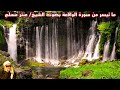 ما تيسر من سورة الواقعة بصوت الشيخ عنتر مسلم 