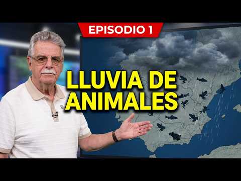 EPISODE 1 ANIMAL RAIN