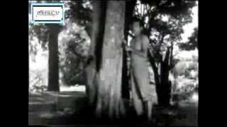 Ost Putus Harapan 1953   Nasibnya Manusia  P Ramlee