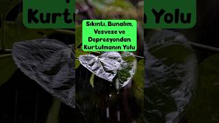 Sıkıntı, Bunalım, Vesvese ve Depresyondan Kurtulmanın Yolu