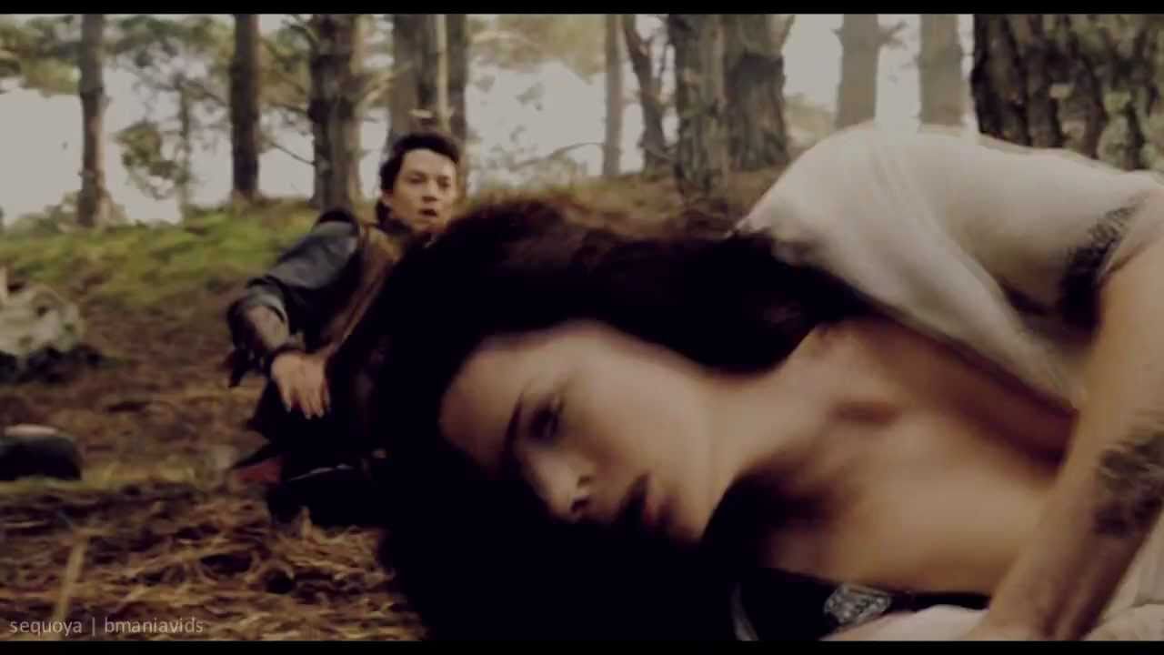 hearts under fire (richard/kahlan)