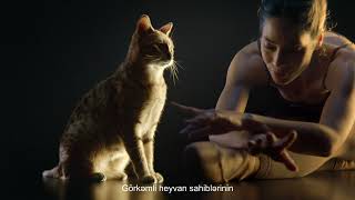 Proplan Megabrand 6 Echo Az