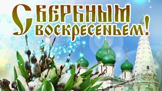 Пусть Веточка Вербы Одарит Всех Здоровьем🌿🕊🌿 С Вербным Воскресеньем🙏🕊🌿🕊🌿🕊