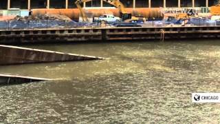 Newzulu Videos of the Week, October 15 - October 21, 2014