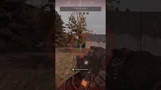 The Honey Badger Don't Care #stalzone #stalzonegame #stalcraft #stalcraftx