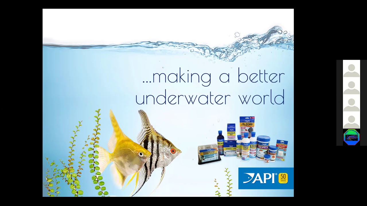 HFGA January 2021 - Special Guest from MARS and API