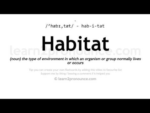 Pronunciation of Habitat | Definition of Habitat