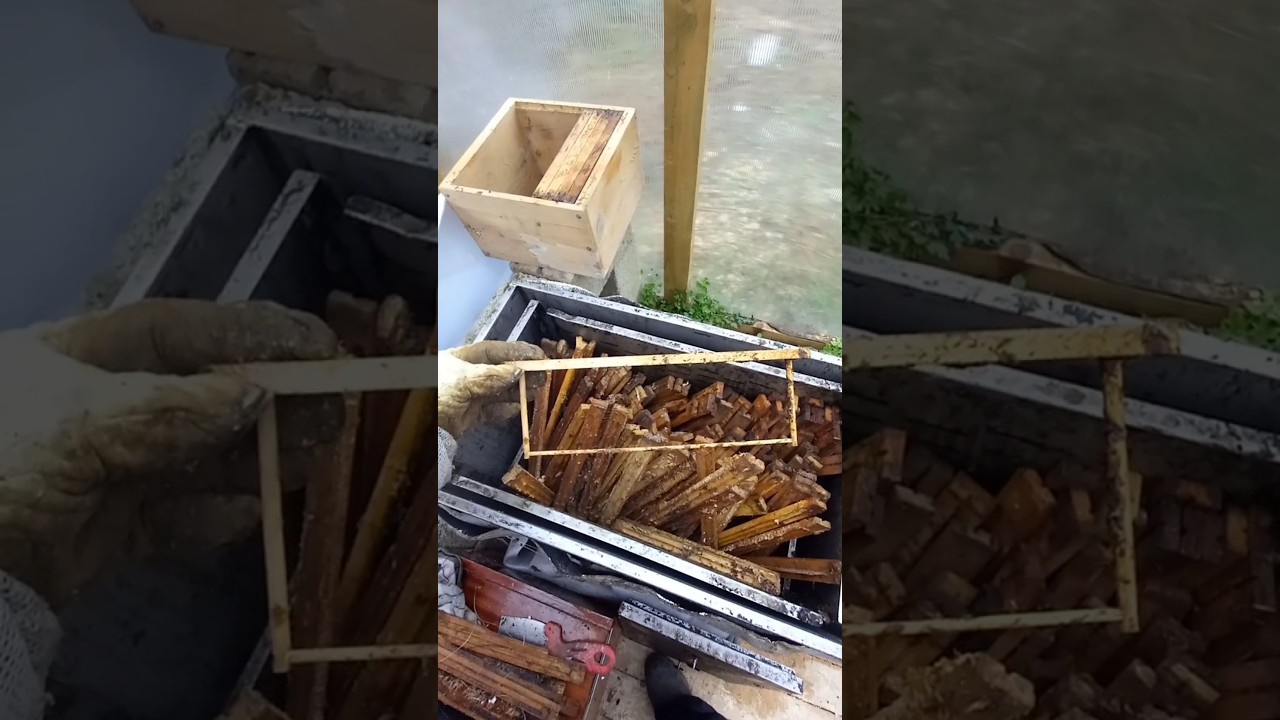 Улей Варре. Готовим рамочки 