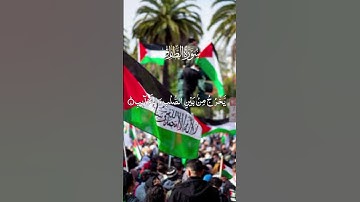 سورة الطارق