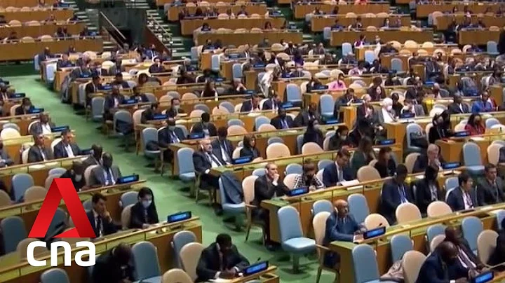 Singapore abstains from UN vote to suspend Russia from Human Rights Council - DayDayNews