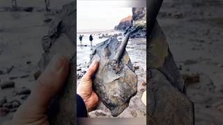 Rare Photos You’ve Never Seen Before [Part 182]